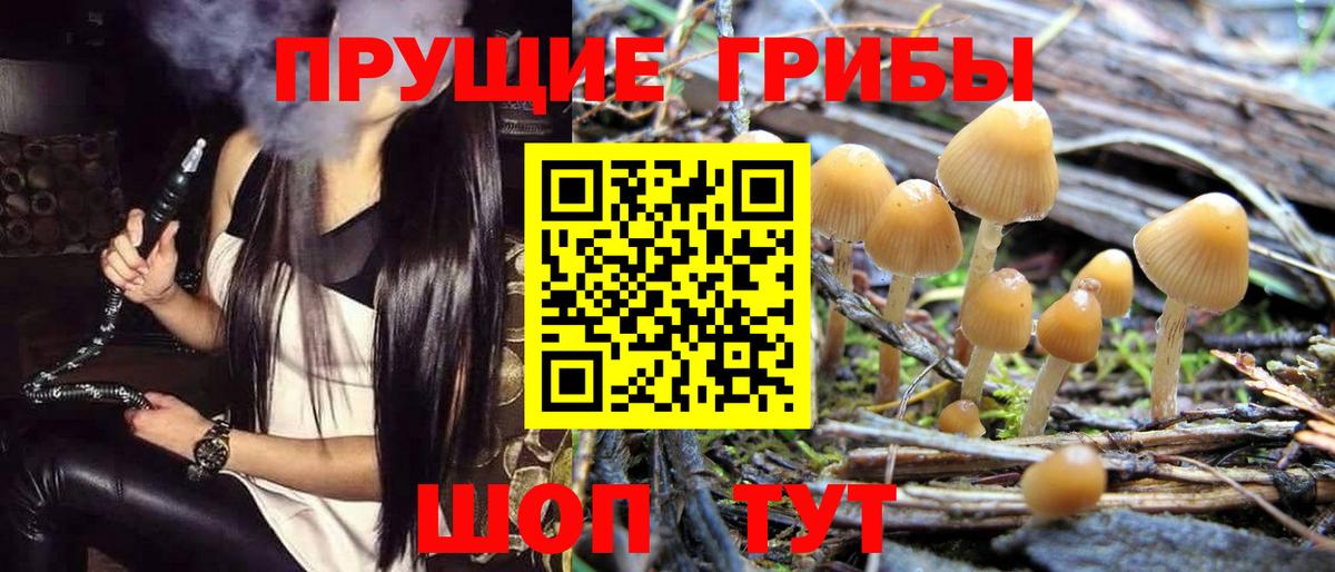 Галлюциногенные грибы ЛСД  Псилоцибиновые грибы мицелий  Урус-Мартан  Вход с VPN 